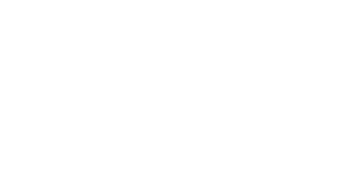 SLStore logo